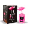 BOIS DE ROSE Profumatore Ambiente Luxury 250 ml